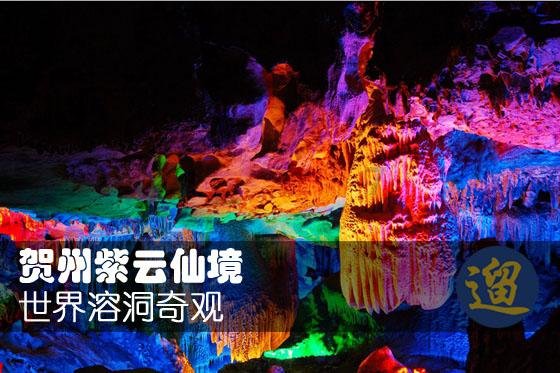 公主的夏季舞会