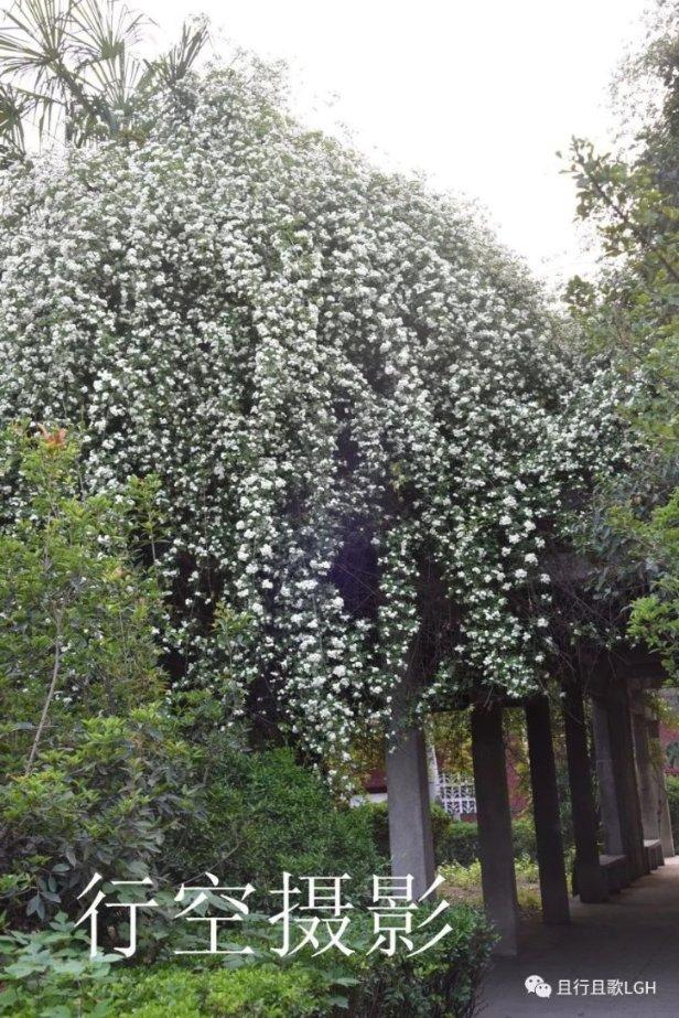 做完显微镜实验后收拾器材时要调节光圈吗？