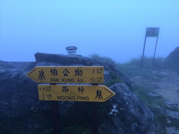 中国男足彻底告别本届亚洲杯