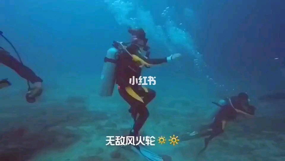 燃烧吧大脑免广告最新版