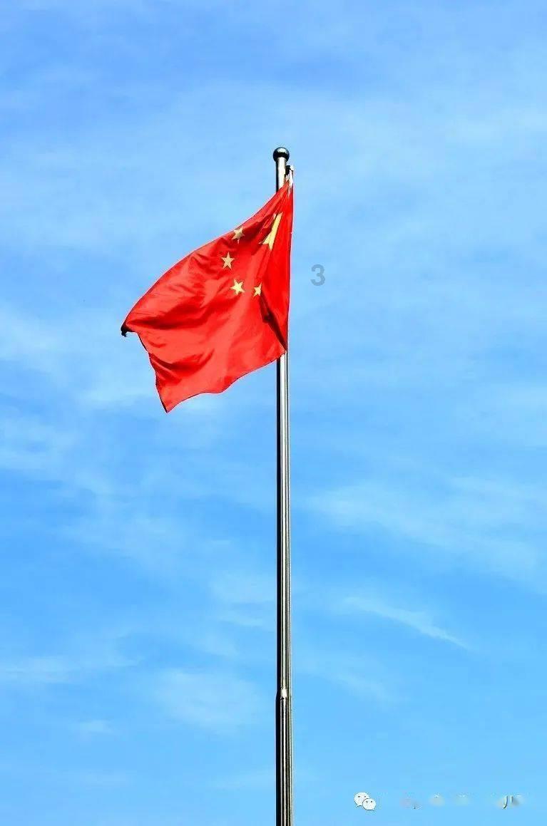 小僵尸射飞鸟