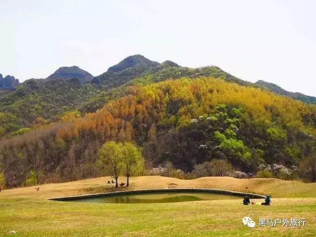 快刺水果