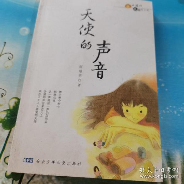 选区主席：美国新罕布什尔州的初选积极性将低于预测